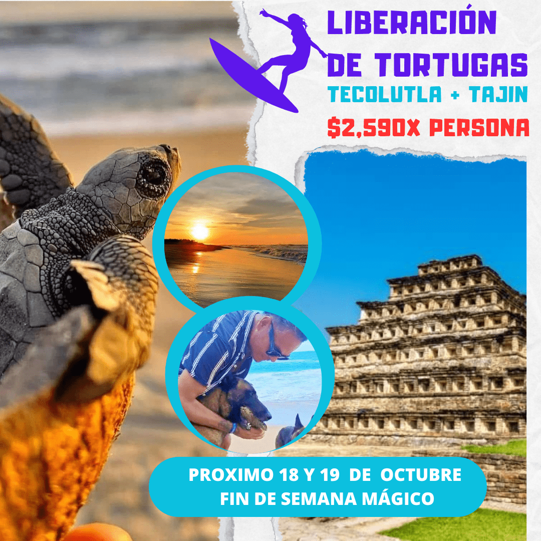 Copia de Copia de Copia de Copia de Instagram post promoción viaje cultural_20250924_151156_0000-min