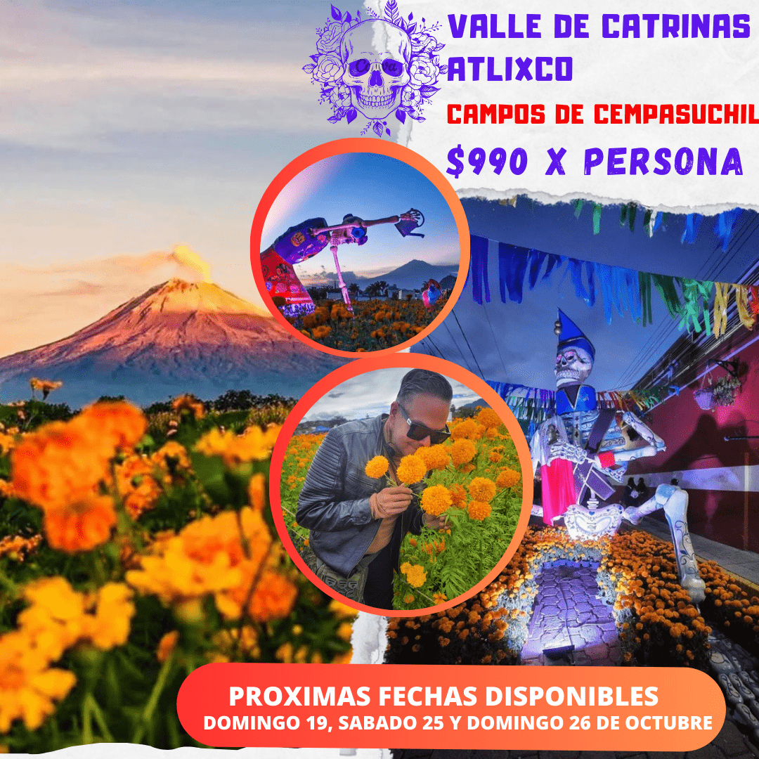 Copia de Copia de Copia de Instagram post promoción viaje cultural moderno _20250903_002648_0000-min