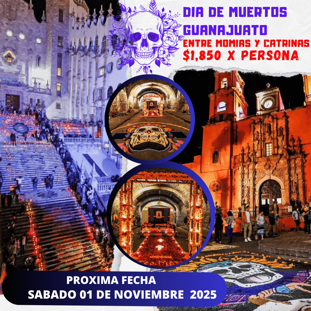 Copia de Copia de Copia de Instagram post promoción viaje cultural moderno _20250904_175604_0000-min